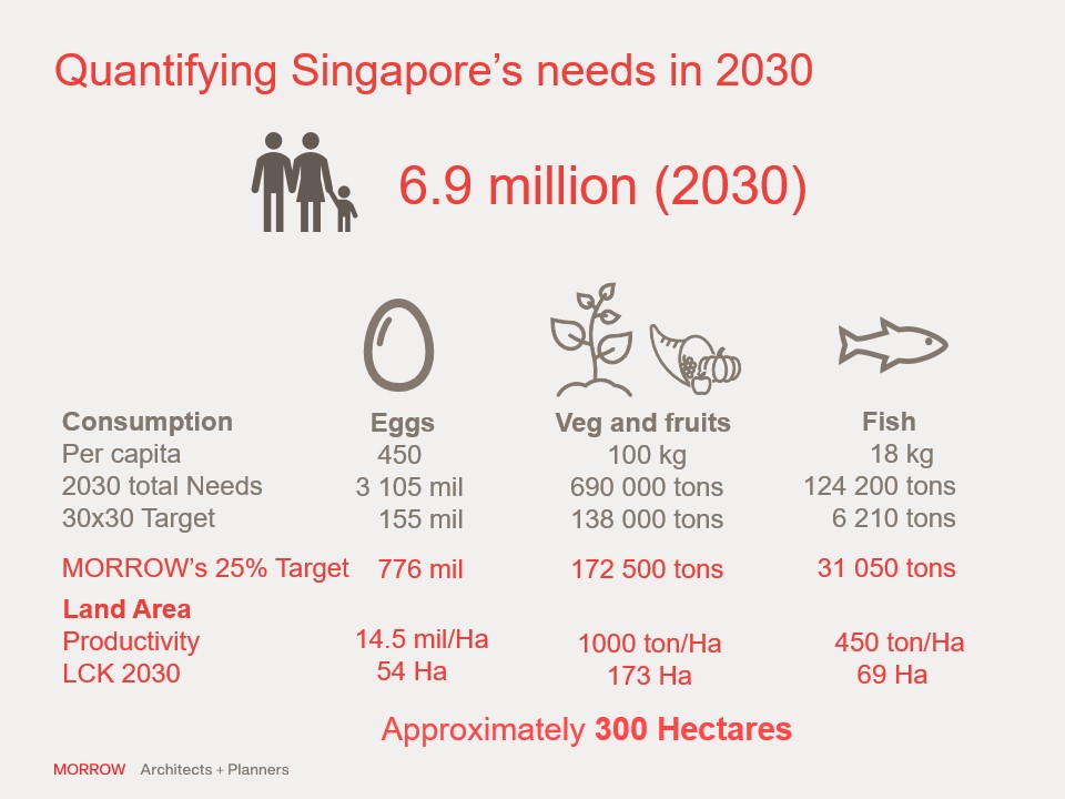 MORROW Insights - Agricultural Planning (Quantifying Singapore's Needs in 2030)