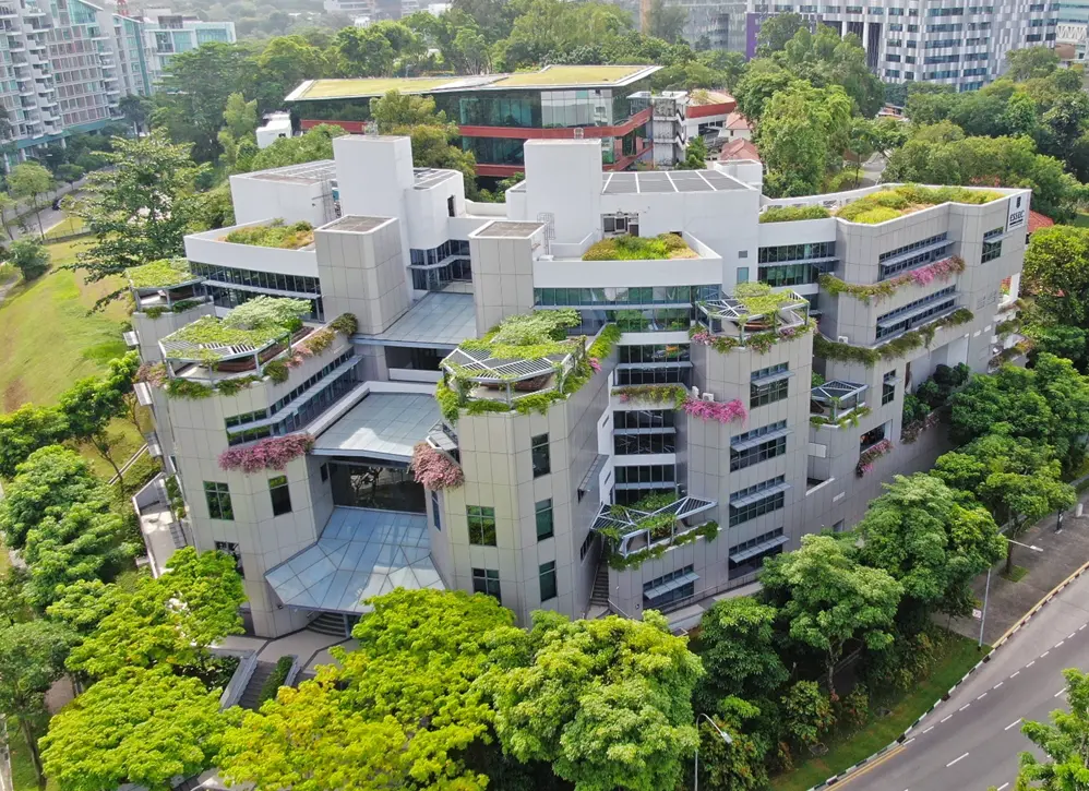 Biophilic Design blending educational spaces with natural elements at ESSEC Business School, One-North, Singapore. (Project completed at RSP, Image source: morrow.sg)