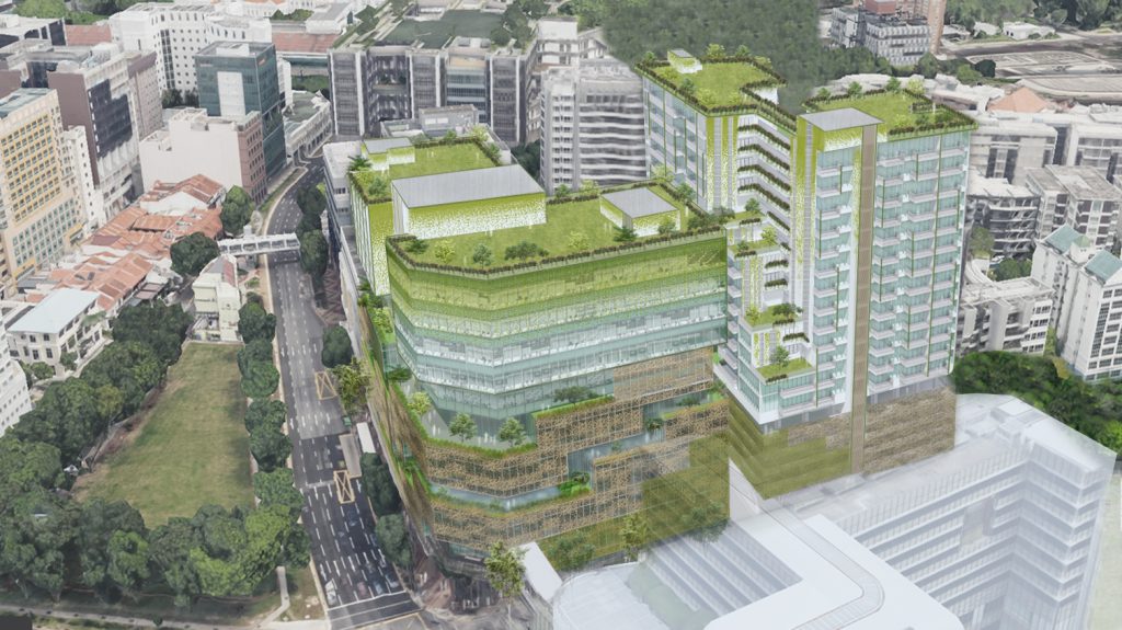 Peace Centre | Morrow