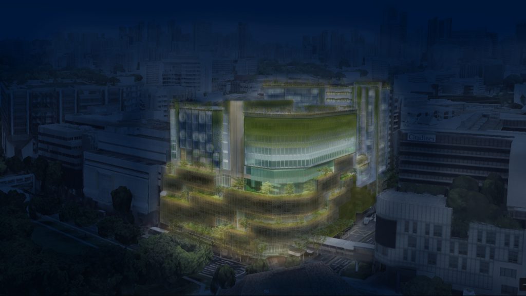 Peace Centre | Morrow